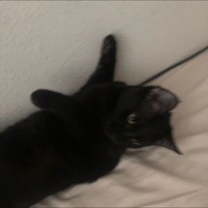 Meet your Posher, Matt